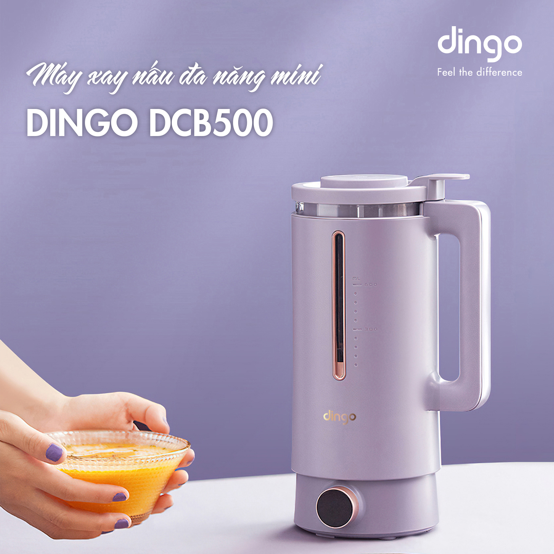 Máy xay nấu đa năng mini DINGO DCB500.
