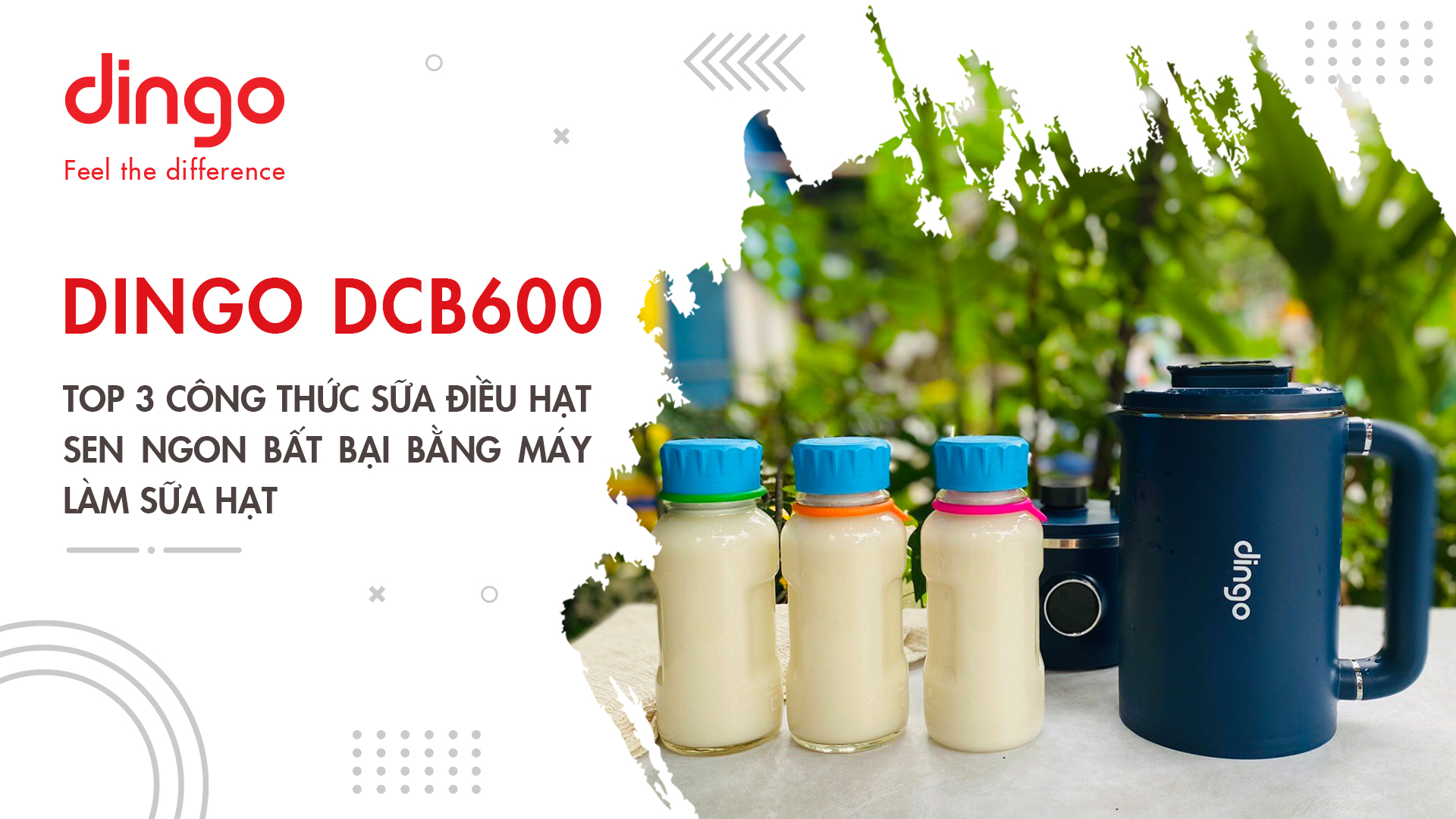 TOP 3 công thức sữa điều hạt sen ngon bất bại bằng máy làm sữa hạt DINGO DCB600